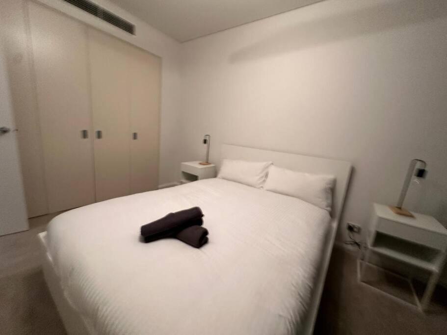 Cozy 2 Bedroom Apartment Darling Harbour Sydney Zewnętrze zdjęcie